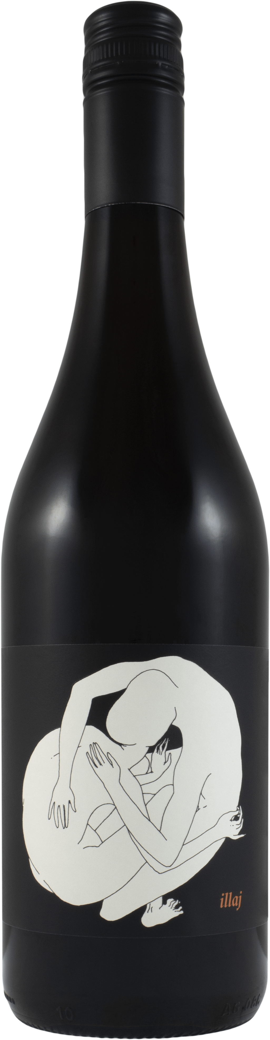 2017 Jamsheed Illaj Pinot Noir
