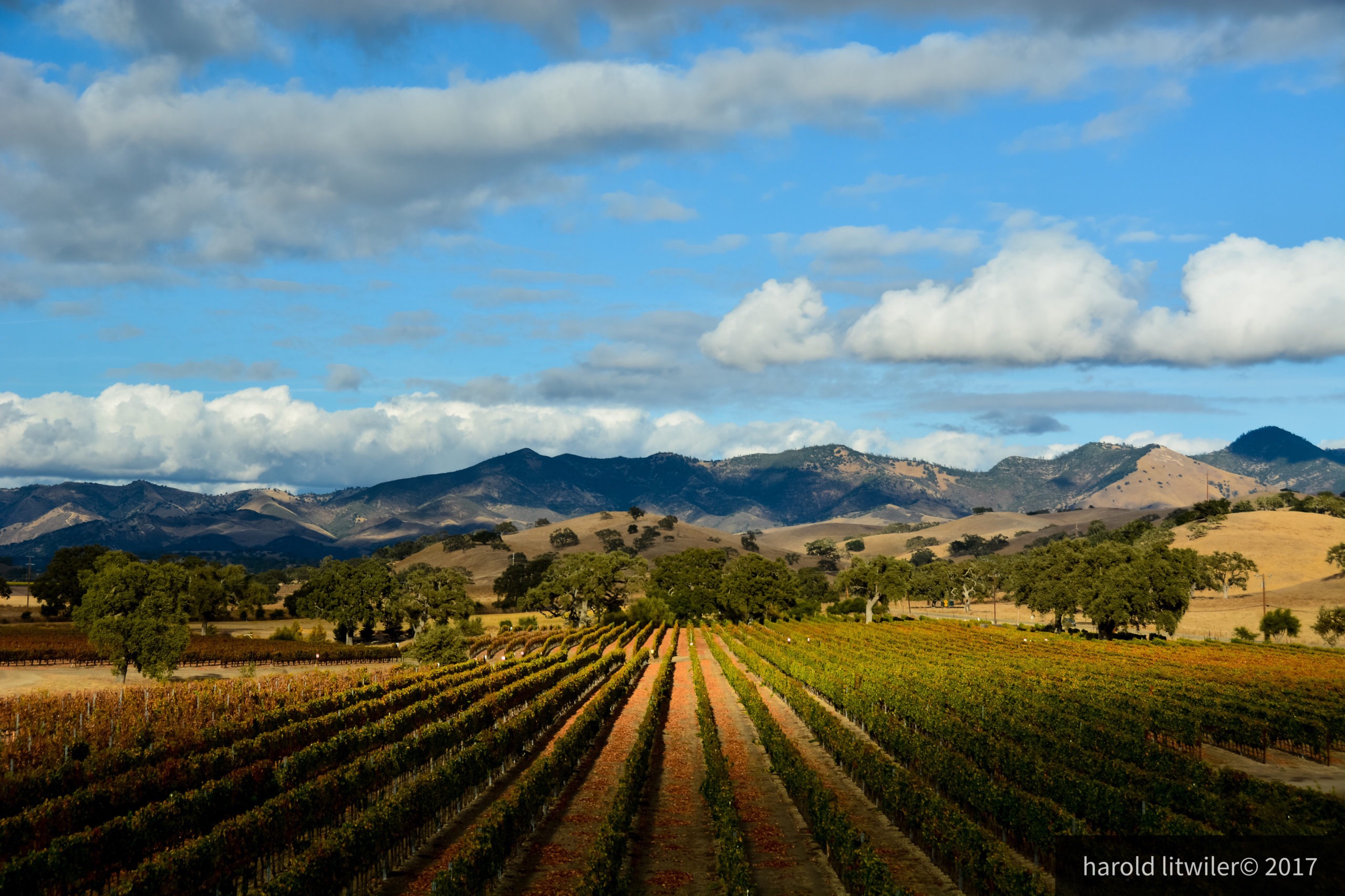 Santa Ynez Valley. A Perfect Day. Wine Bounty