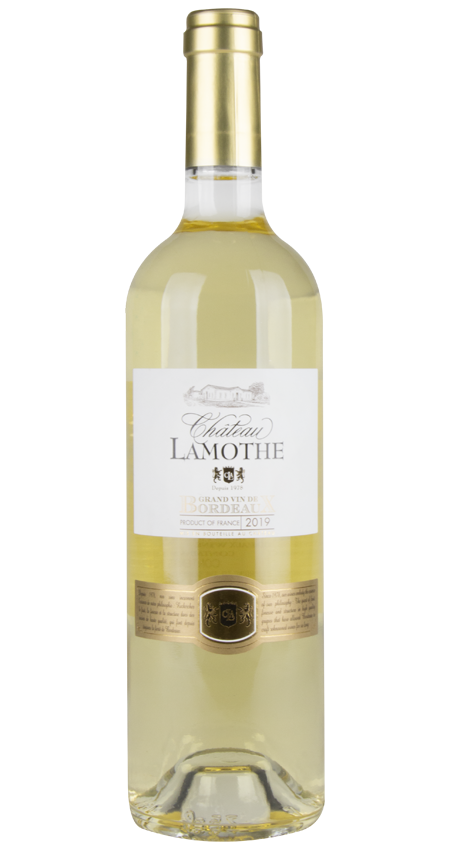 Château Lamothe Bordeaux Blanc 2019