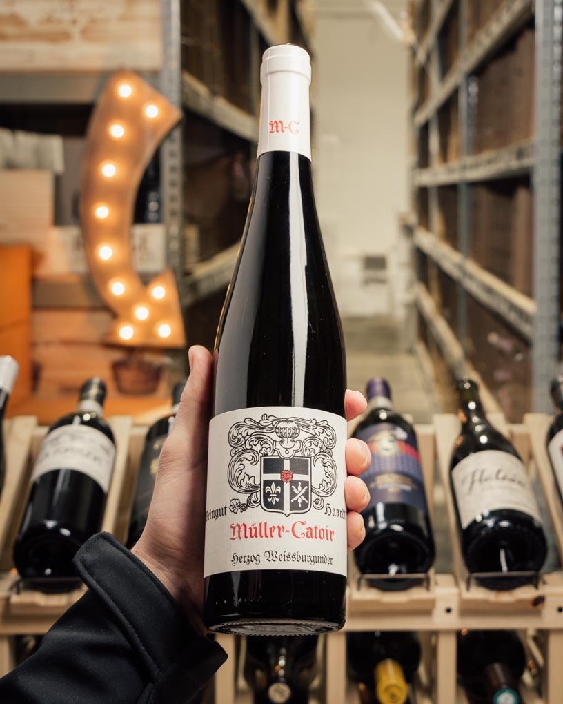 Muller-Catoir Weissburgunder (Pinot Blanc) Herzog Trocken 2019