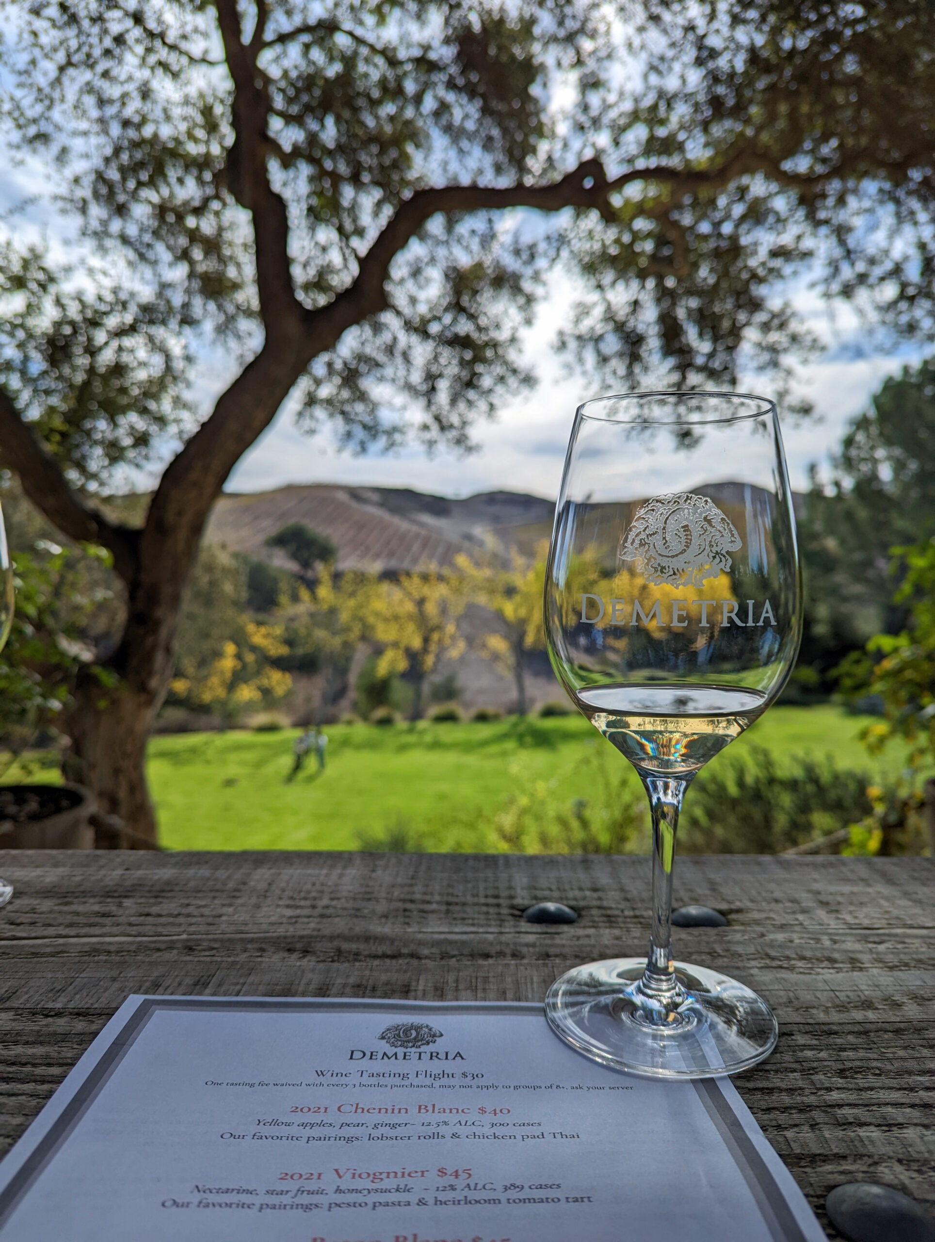 Kid Friendly Wineries In A Day (Santa Barbara County)  Wine Bounty