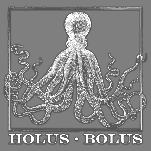 Holus Bolus and The Joy Fantastic