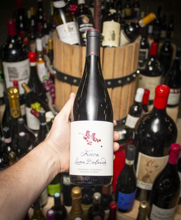 Bodegas y Vinedos Luna Beberide Finca La Cuesta Bierzo 2018