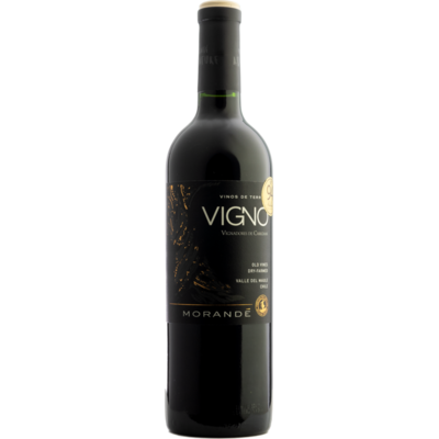 2020 'VIGNO' Old Vines Dry Farmed Cariñena