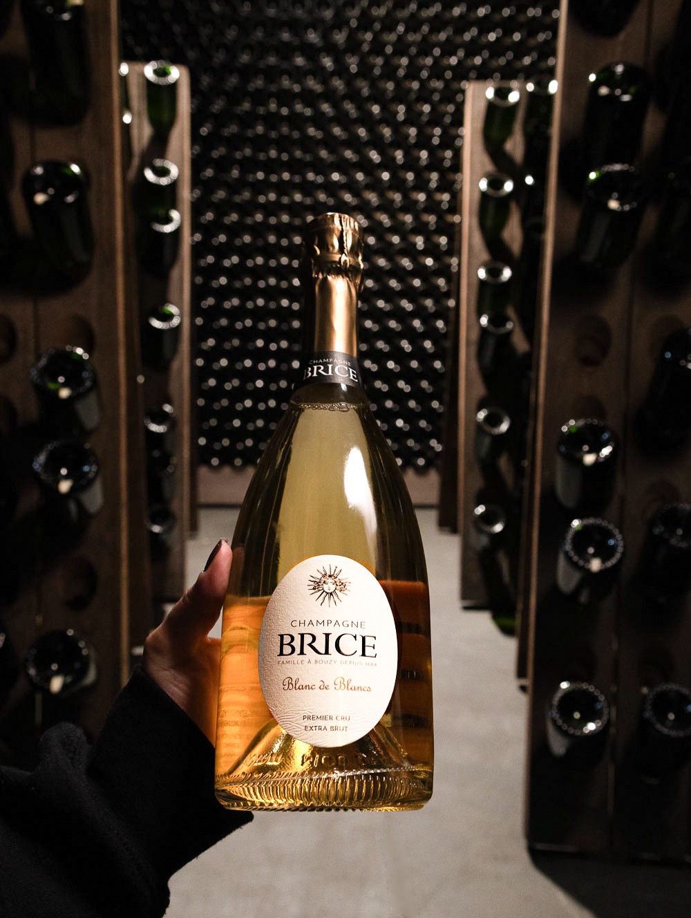Champagne Brice Blanc de Blancs Extra Brut Premier Cru NV