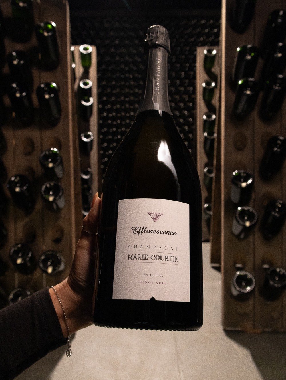 Champagne Marie-Courtin Blanc de Noirs Efflorescence Extra Brut 2017 (Magnum 1.5L)