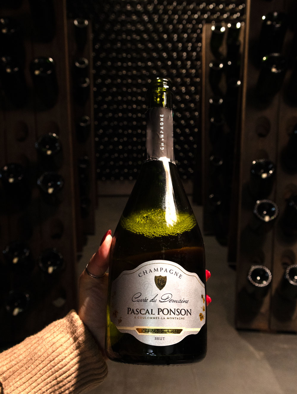Champagne Pascal Ponson Cuvée du Domaine Brut Premier Cru NV