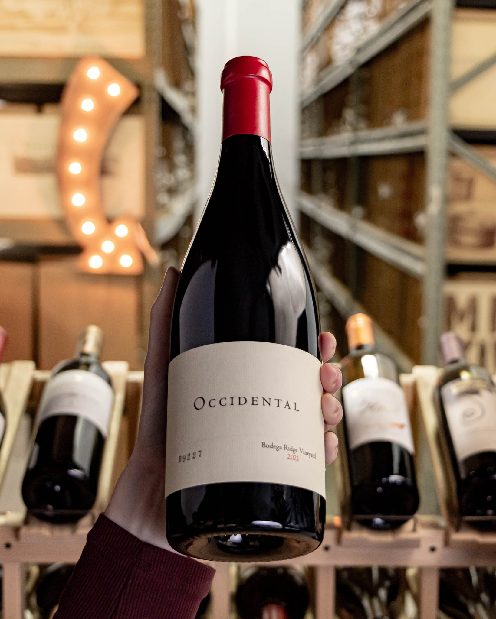 Occidental Pinot Noir Bodega Ridge Vineyard Sonoma Coast 2021