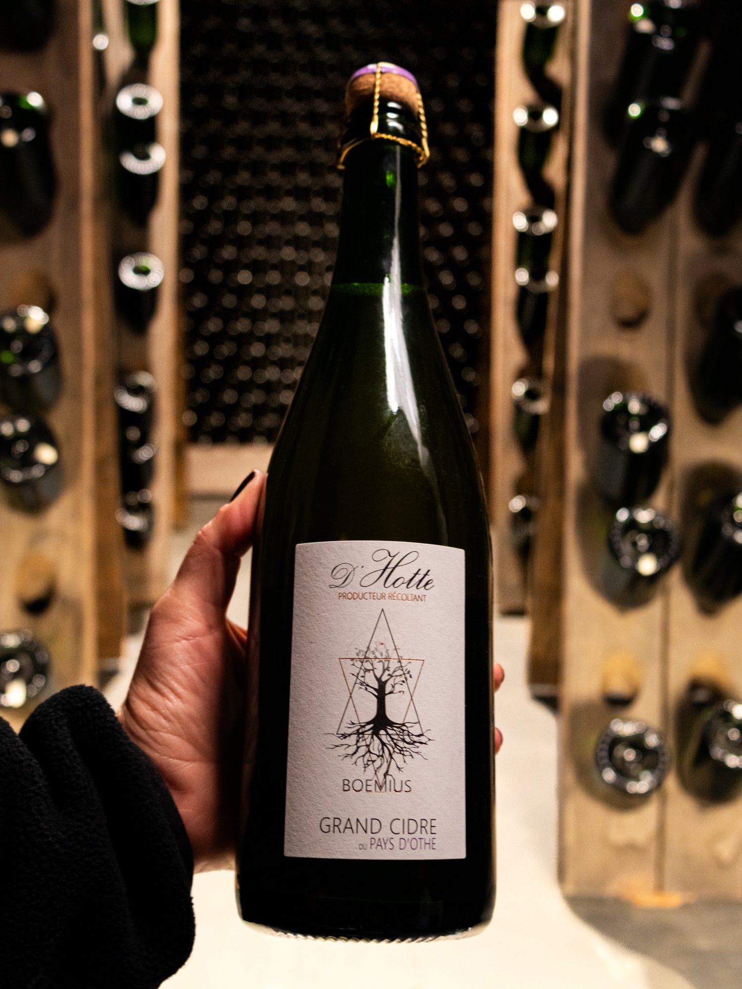 Le Ferme d’Hotte Boemius Grand Cidre du Pays d'Othe NV
