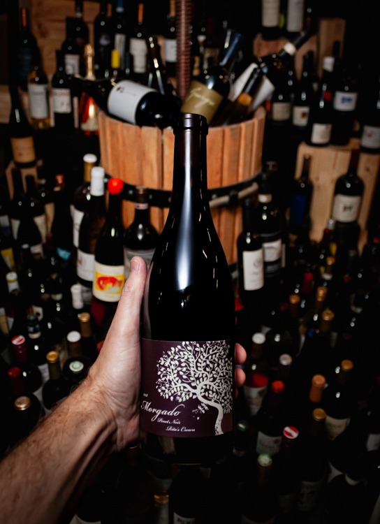 Morgado Cellars Pinot Noir Ritas Crown Vineyard Sta. Rita Hills 2016