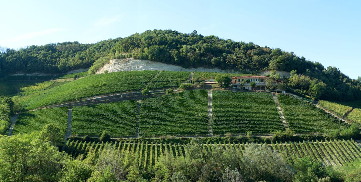 Savoring Piedmont’s Legacy: Discovering the 2015 Elio Grasso Barolo