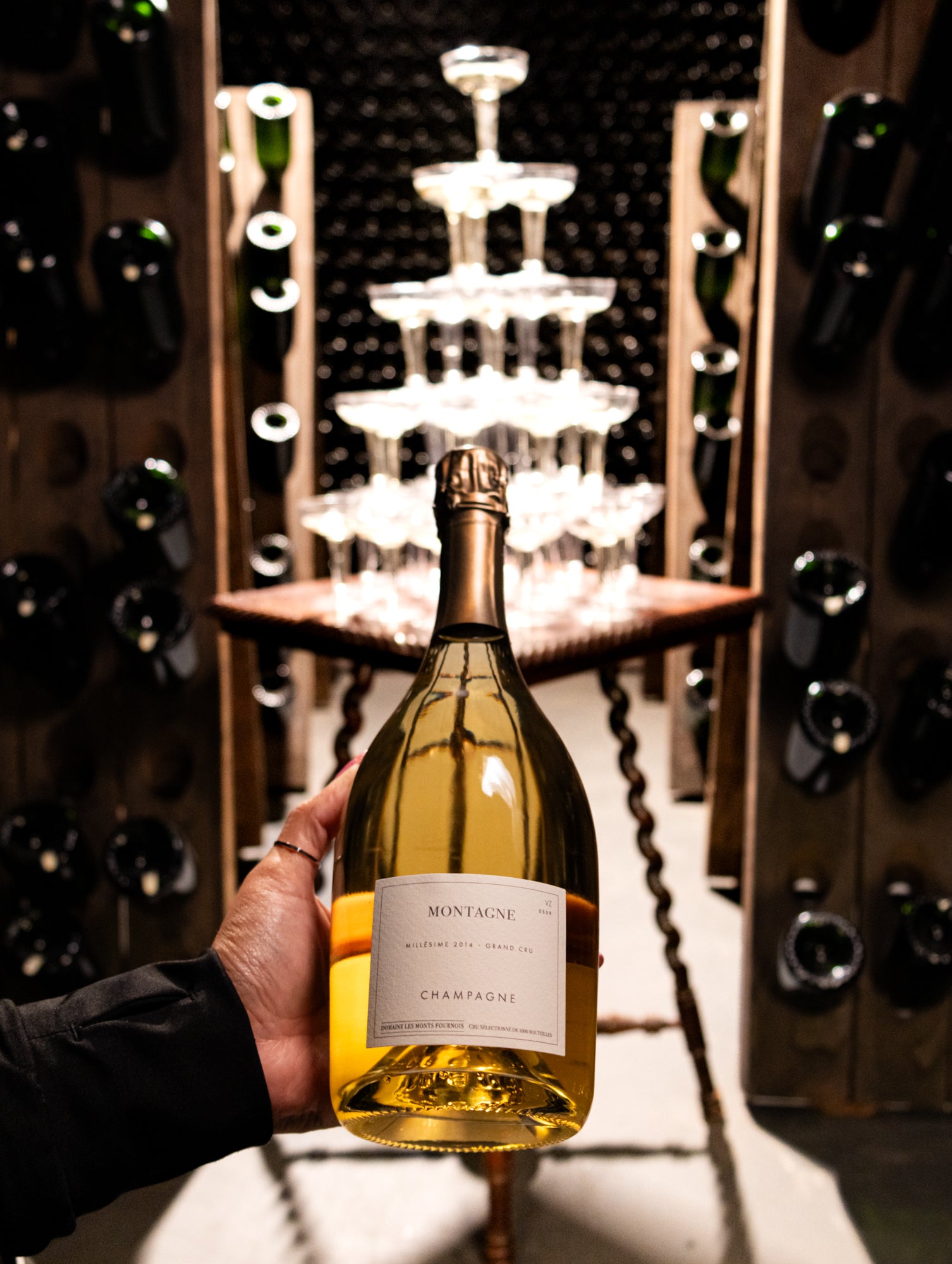 Champagne Domaine Les Monts Fournois Montagne Blanc de Noirs Extra Brut Grand Cru 2014