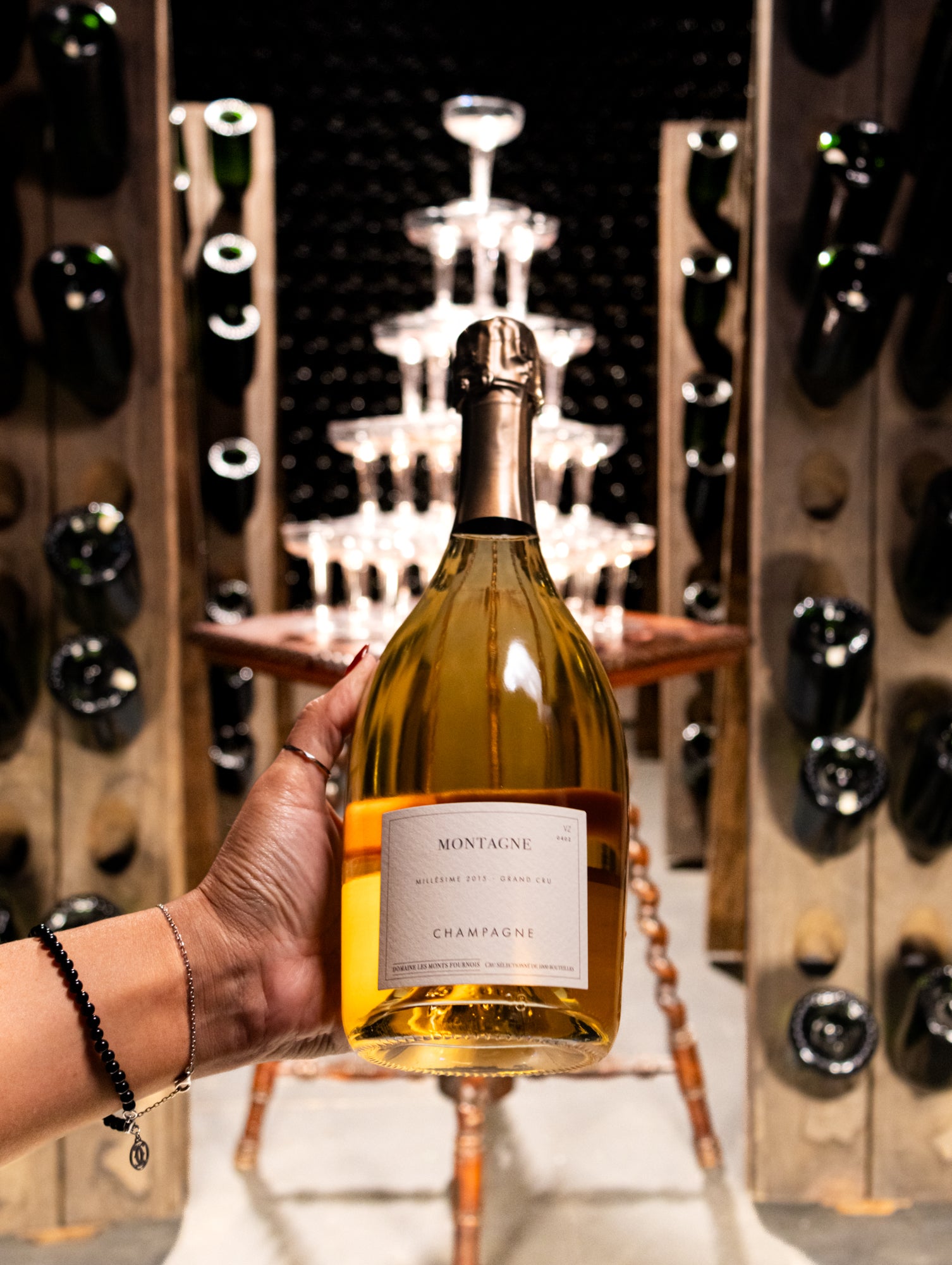 Champagne Domaine Les Monts Fournois Montagne Blanc de Noirs Extra Brut Grand Cru 2015