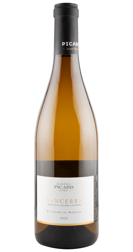 JP Picard Sancerre Sauvignon Blanc 2024