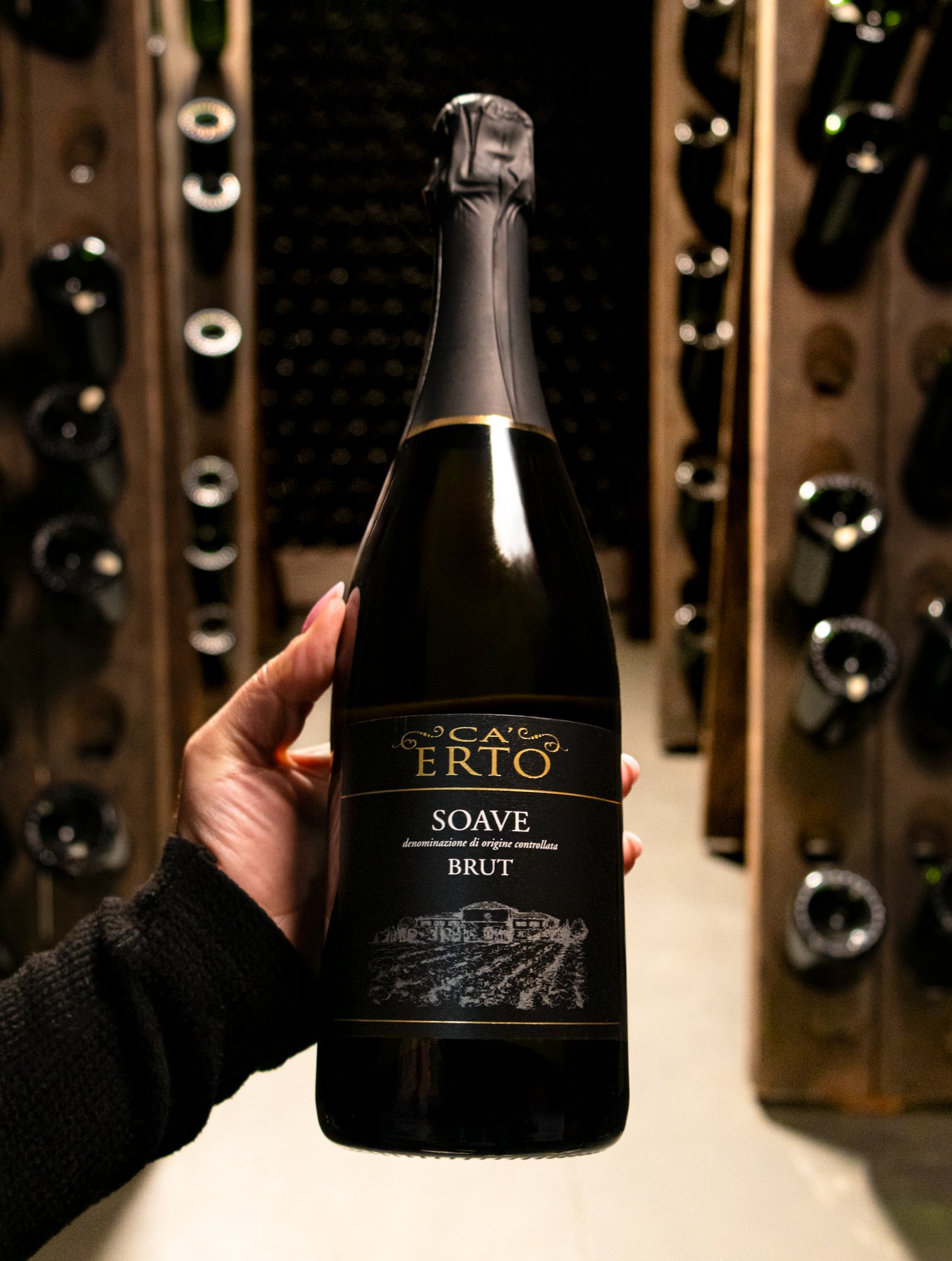 Ca'Erto Soave Spumante Brut 2023