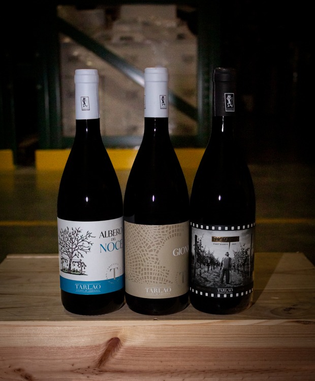 Tarlao Fruilian White 2023 3-Pack Horizontal