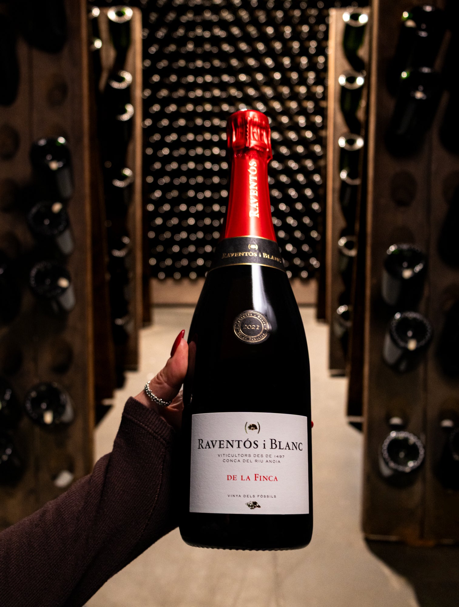 Raventós i Blanc De La Finca Vinya Dels Fossils Conca del Riu Anoia 2021