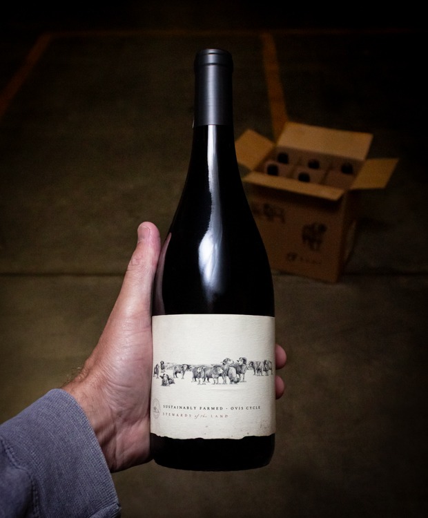 13 Rams Red Blend Lake County 2020