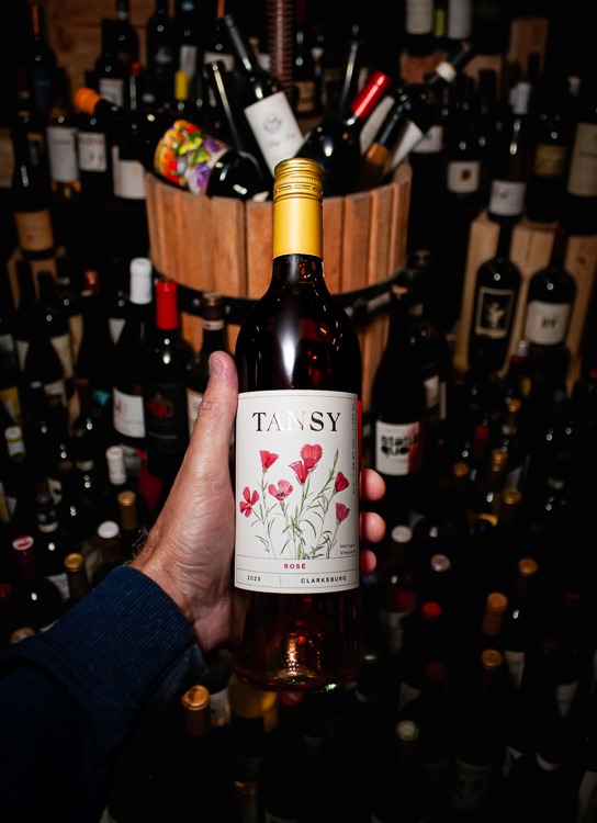Tansy Rosé of Aglianico Heringer Vineyard Clarksburg 2023