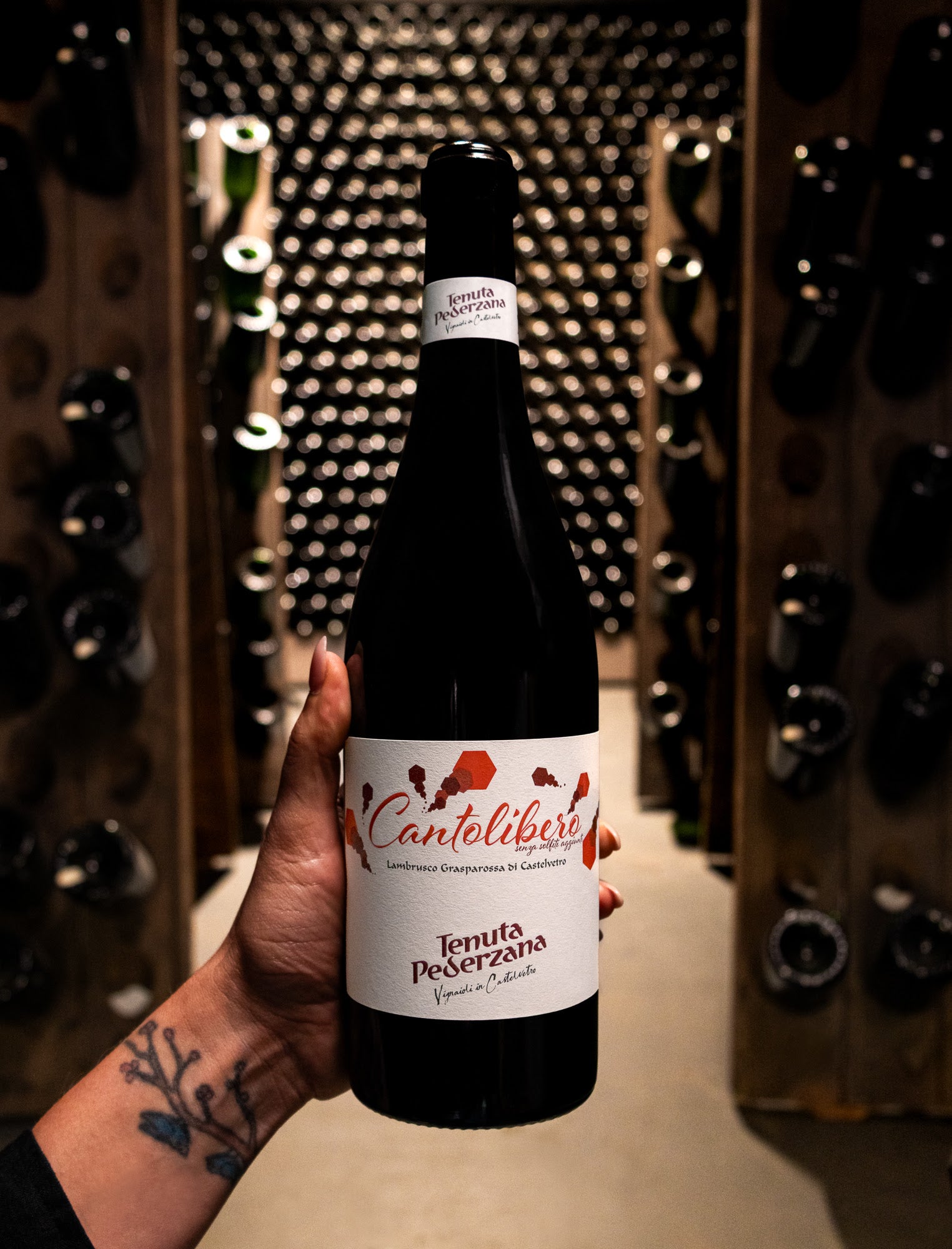Tenuta Pederzana Lambrusco Grasparossa Castelvetro Cantolibero Secco 2020