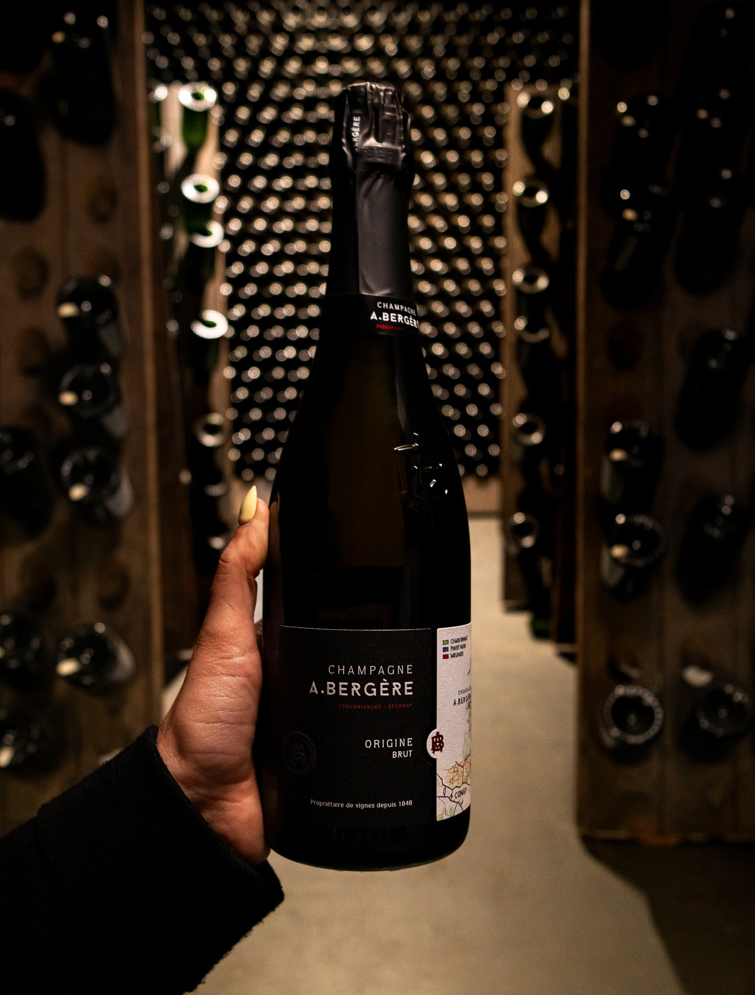 Champagne A. Bergère Origine Brut NV