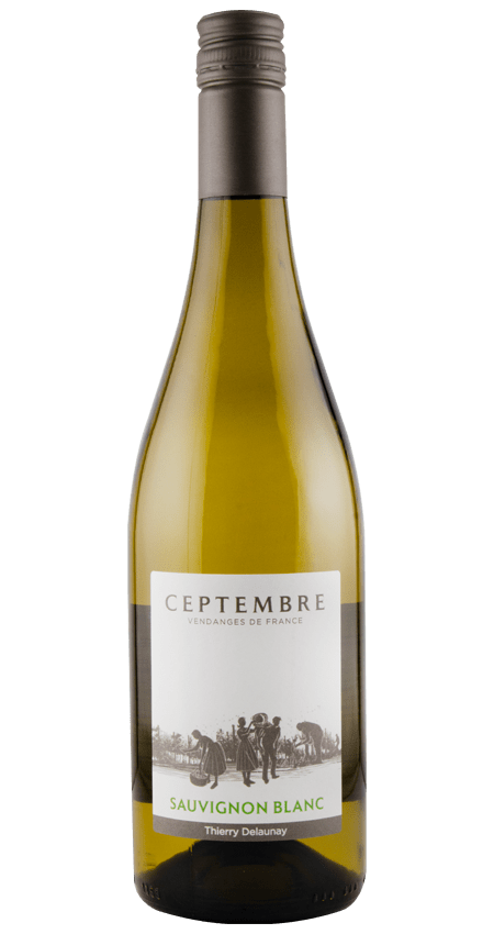 Thierry Delaunay Ceptembre Sauvignon Blanc Vin de France 2024