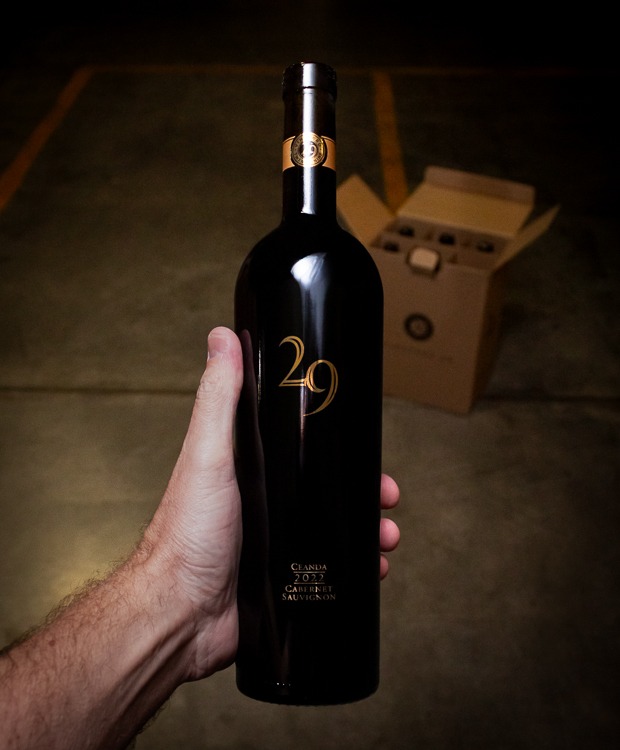 Vineyard 29 Cabernet Sauvignon Ceanda Napa Valley 2022