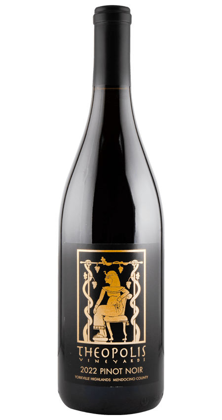 93 Pt. Theopolis Vineyards Pinot Noir Yorkville Highlands 2022