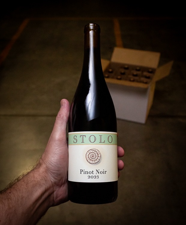 Stolo Pinot Noir San Luis Obispo Coast 2023