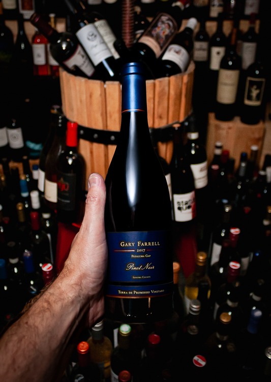 Gary Farrell Pinot Noir Terra de Promissio Vineyard Petaluma Gap 2017