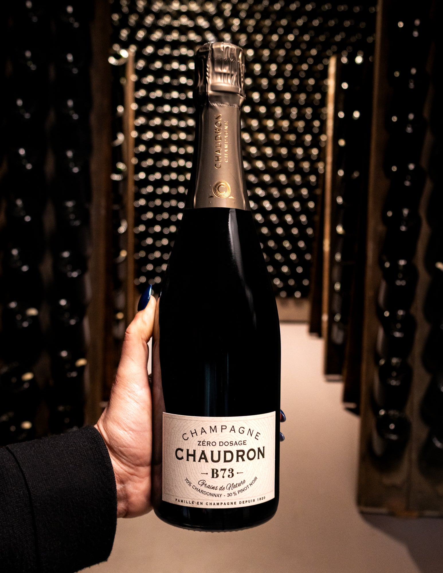 Champagne Chaudron B73 Grains de Nature Zéro Dosage NV