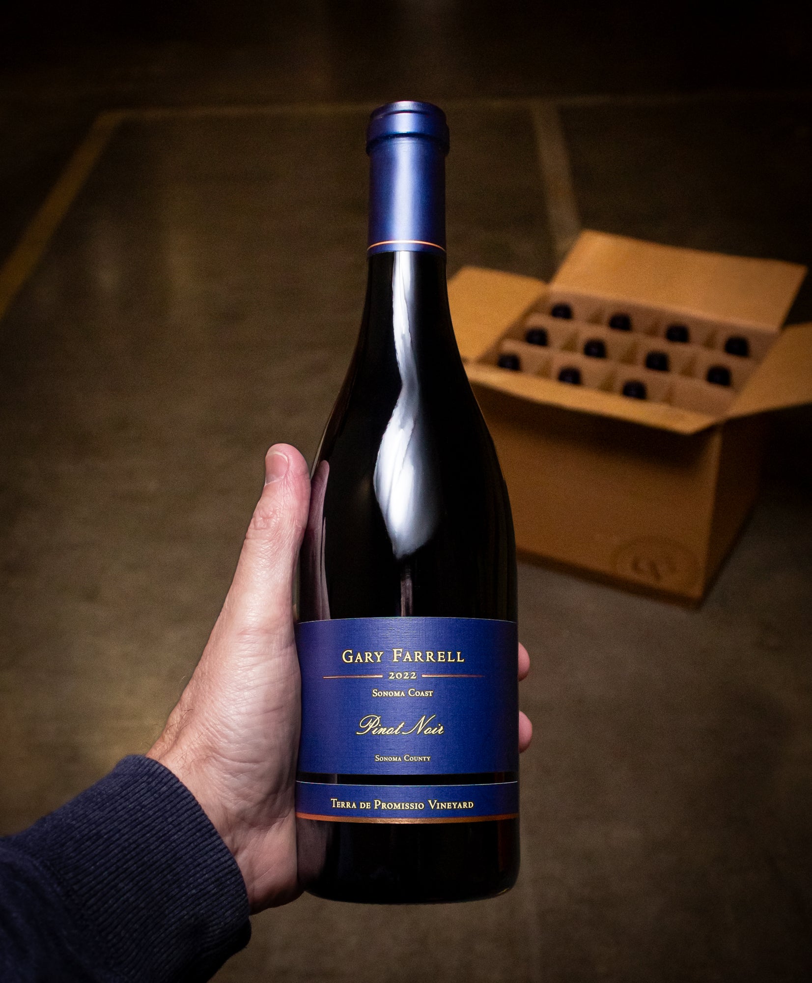 Gary Farrell Pinot Noir Terra de Promissio Vineyard Petaluma Gap 2022