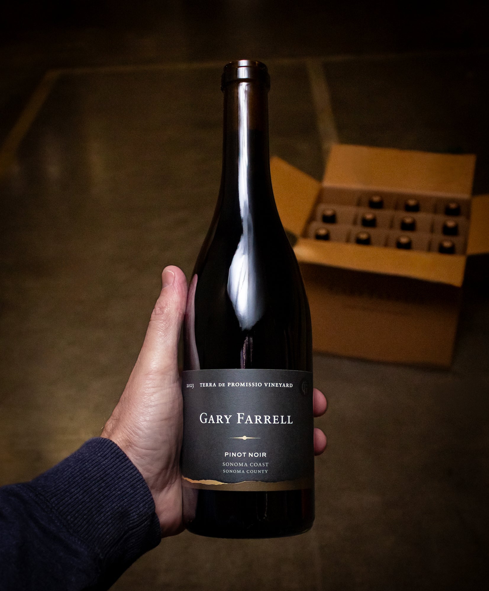 Gary Farrell Pinot Noir Terra de Promissio Vineyard Petaluma Gap 2023