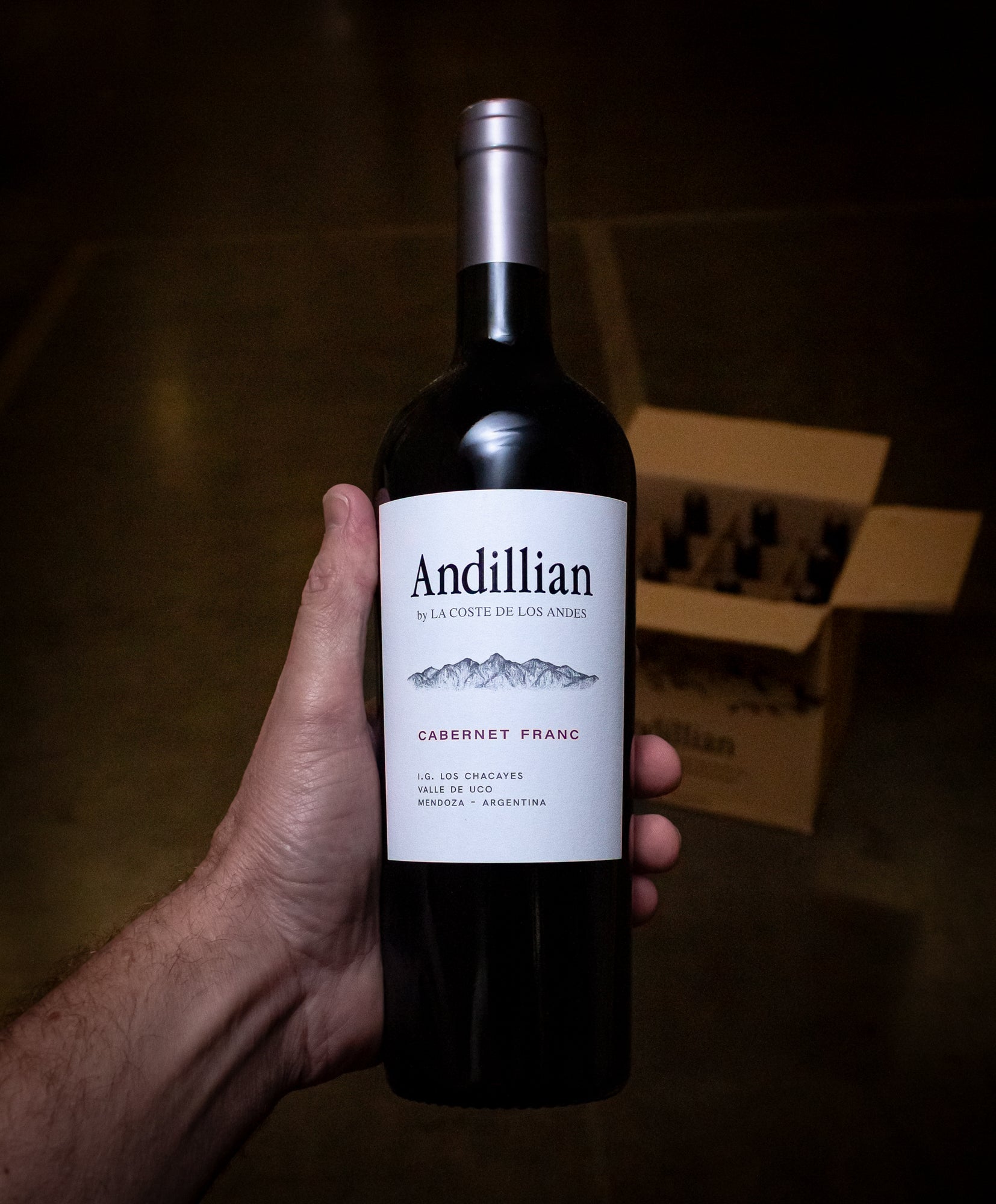 La Coste de Los Andes Cabernet Franc Andillian Mendoza 2023