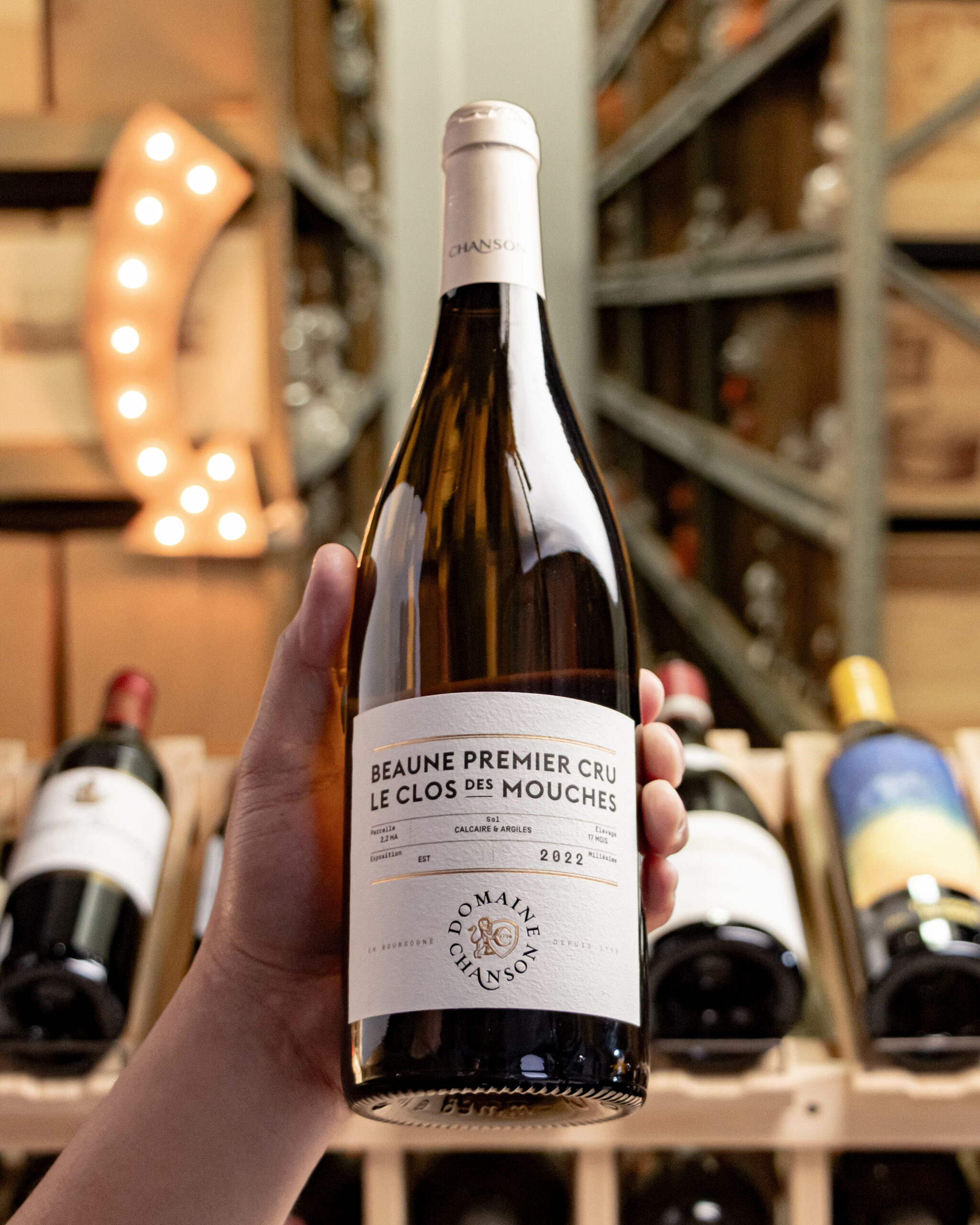 Domaine Chanson Blanc Le Clos des Mouches Beaune Premier Cru 2022