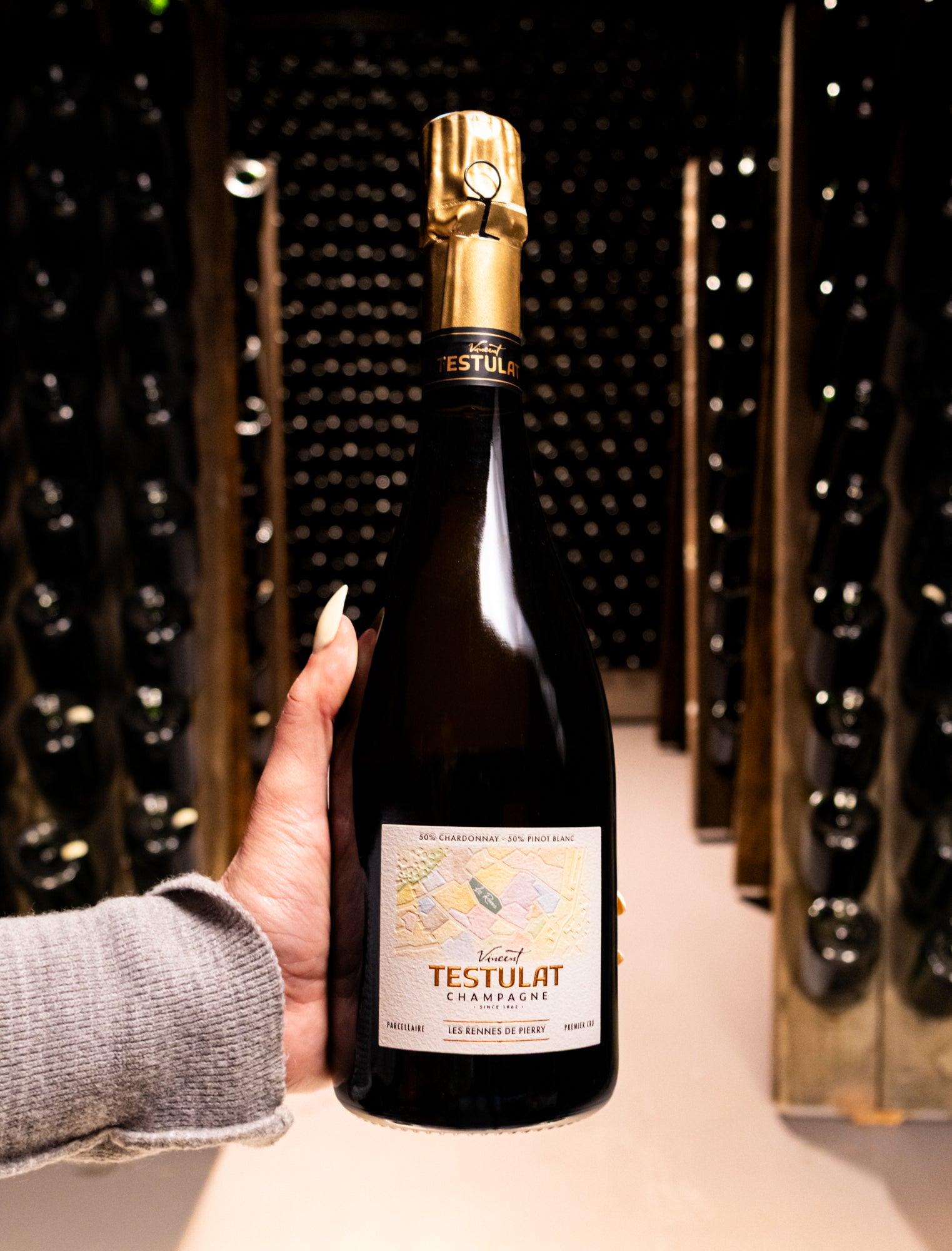 Champagne Vincent Testulat Les Rennes de Pierry Extra Brut NV