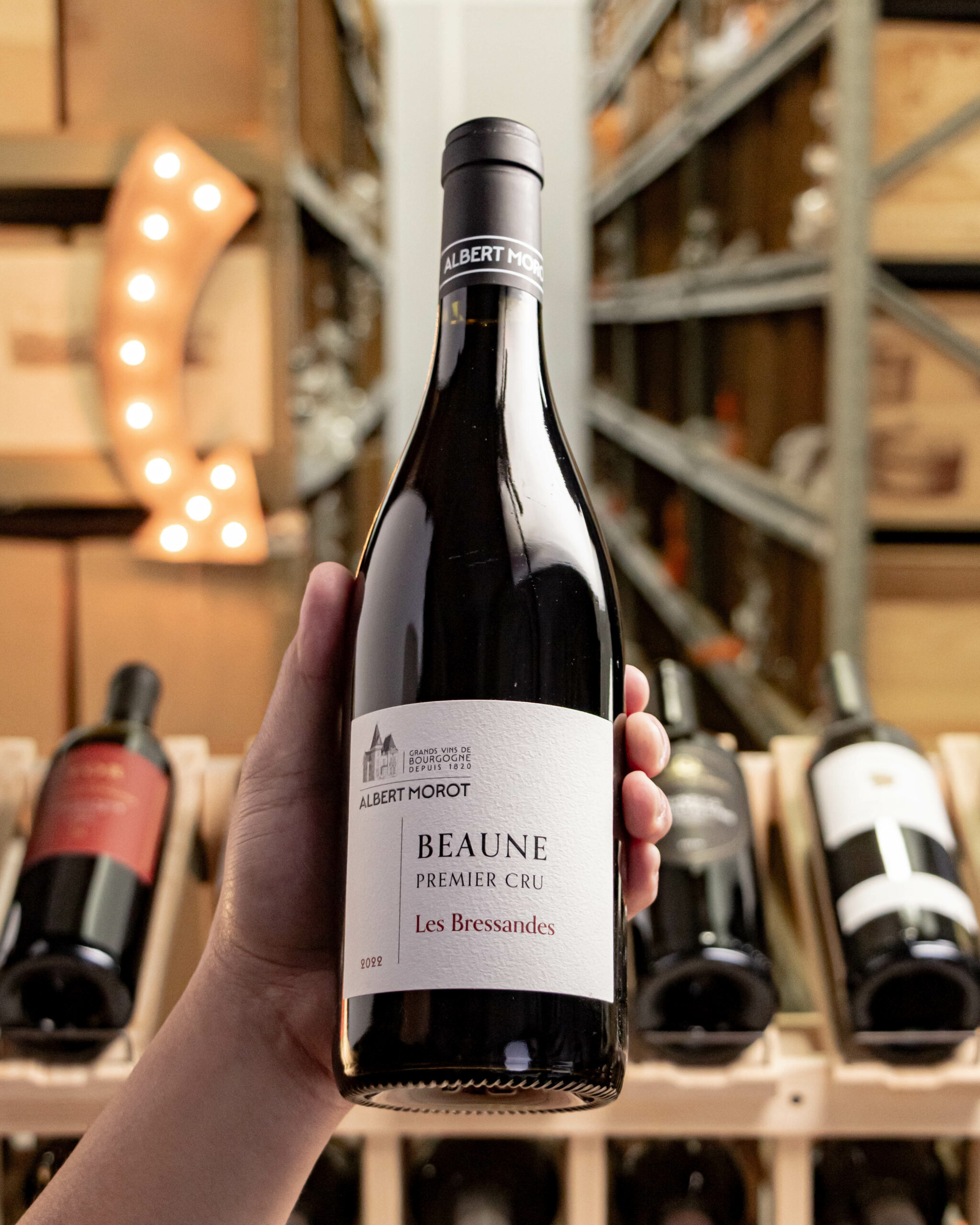 Albert Morot Beaune Bressandes Premier Cru 2022