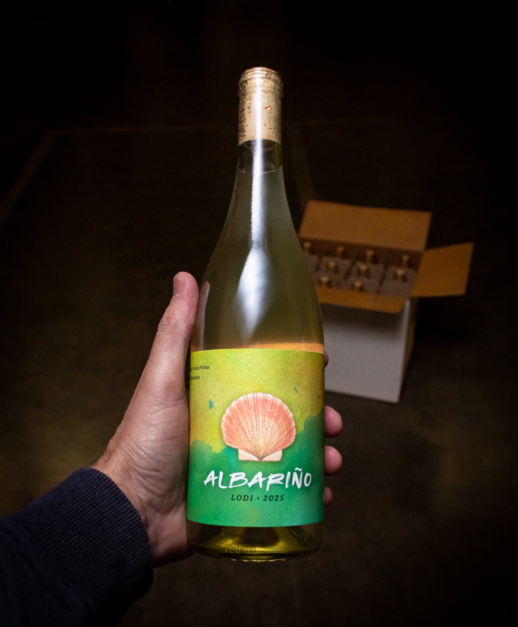 No Love Lost Albariño Lodi 2025