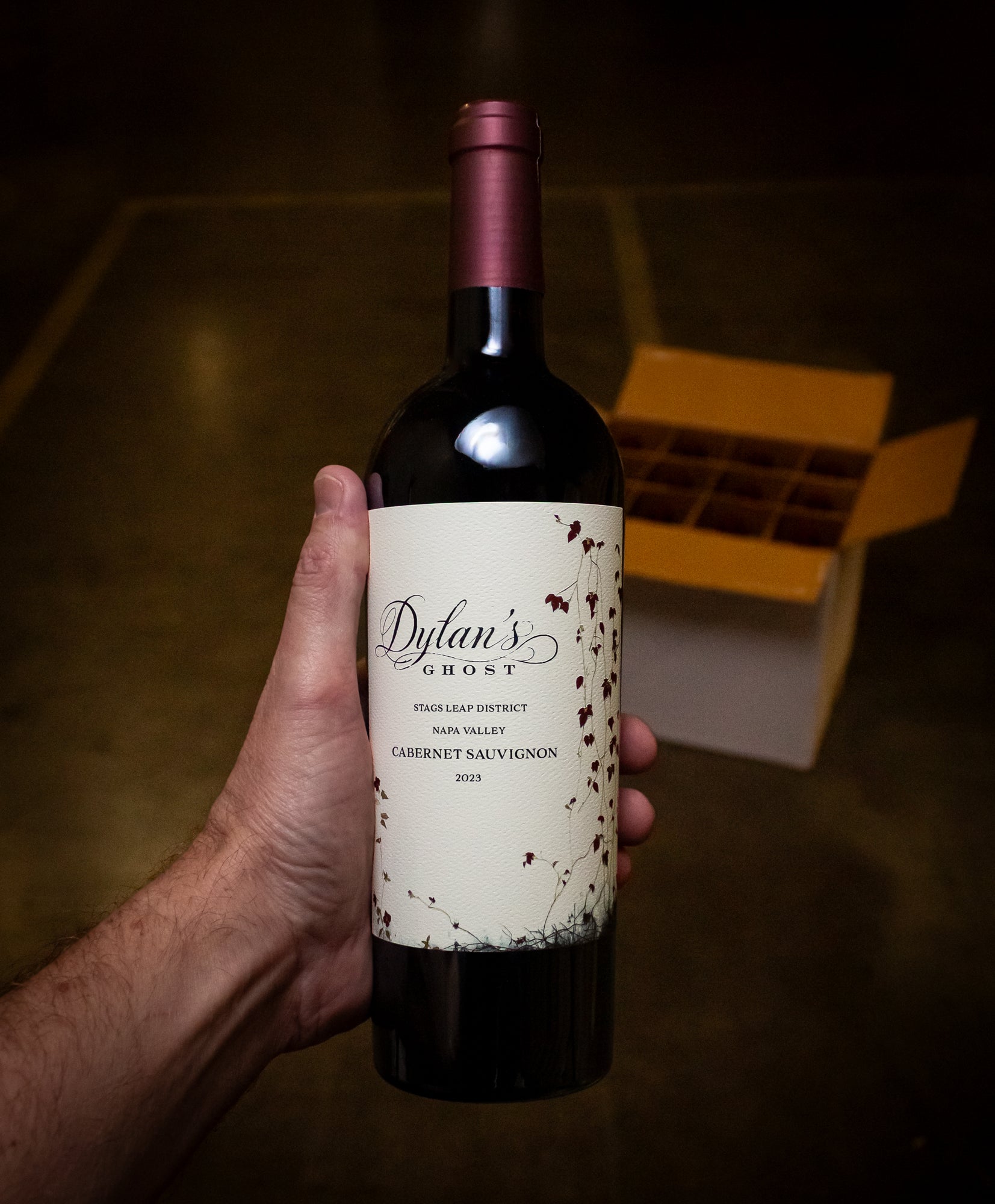 Dylan's Ghost Cabernet Sauvignon Napa Valley 2023