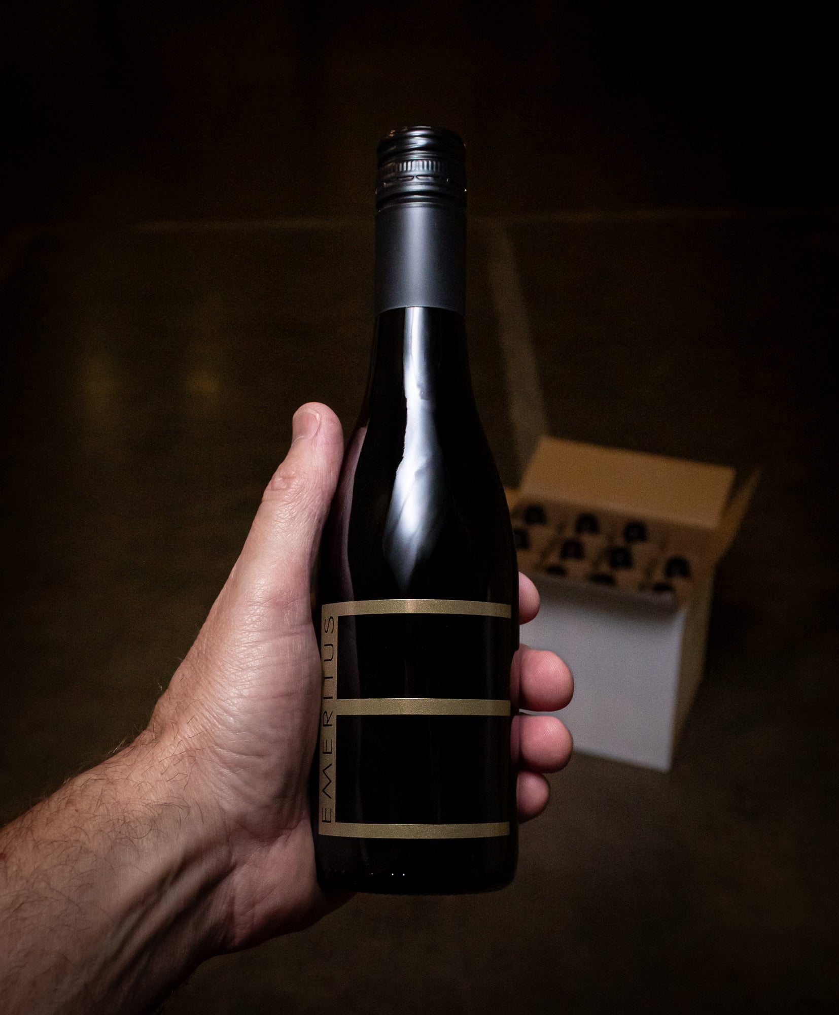Emeritus Vineyards Pinot Noir Wesley's Reserve Hallberg Ranch Vineyard Russian River Valley 2022 (Half Bottle 375mL)