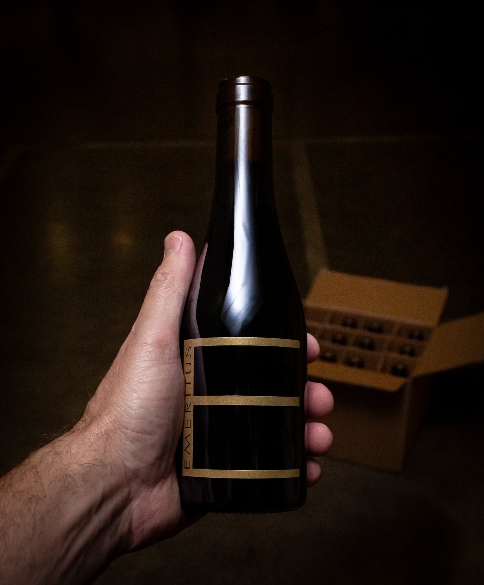 Emeritus Vineyards Pinot Noir Wesley's Reserve Hallberg Ranch Vineyard Russian River Valley 2021 (Half Bottle 375mL)