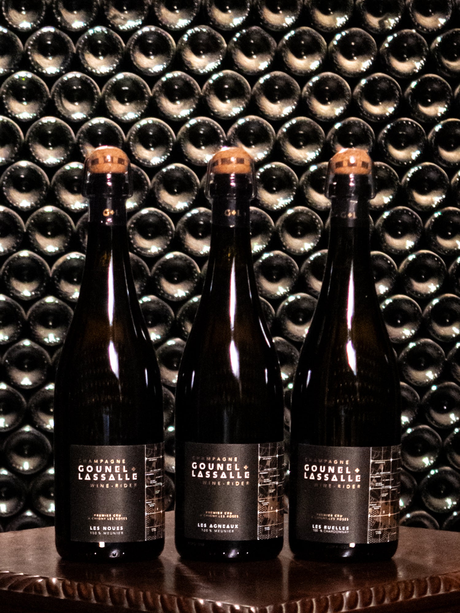 Champagne Gounel Lassalle Single Plot Study (3-pack)