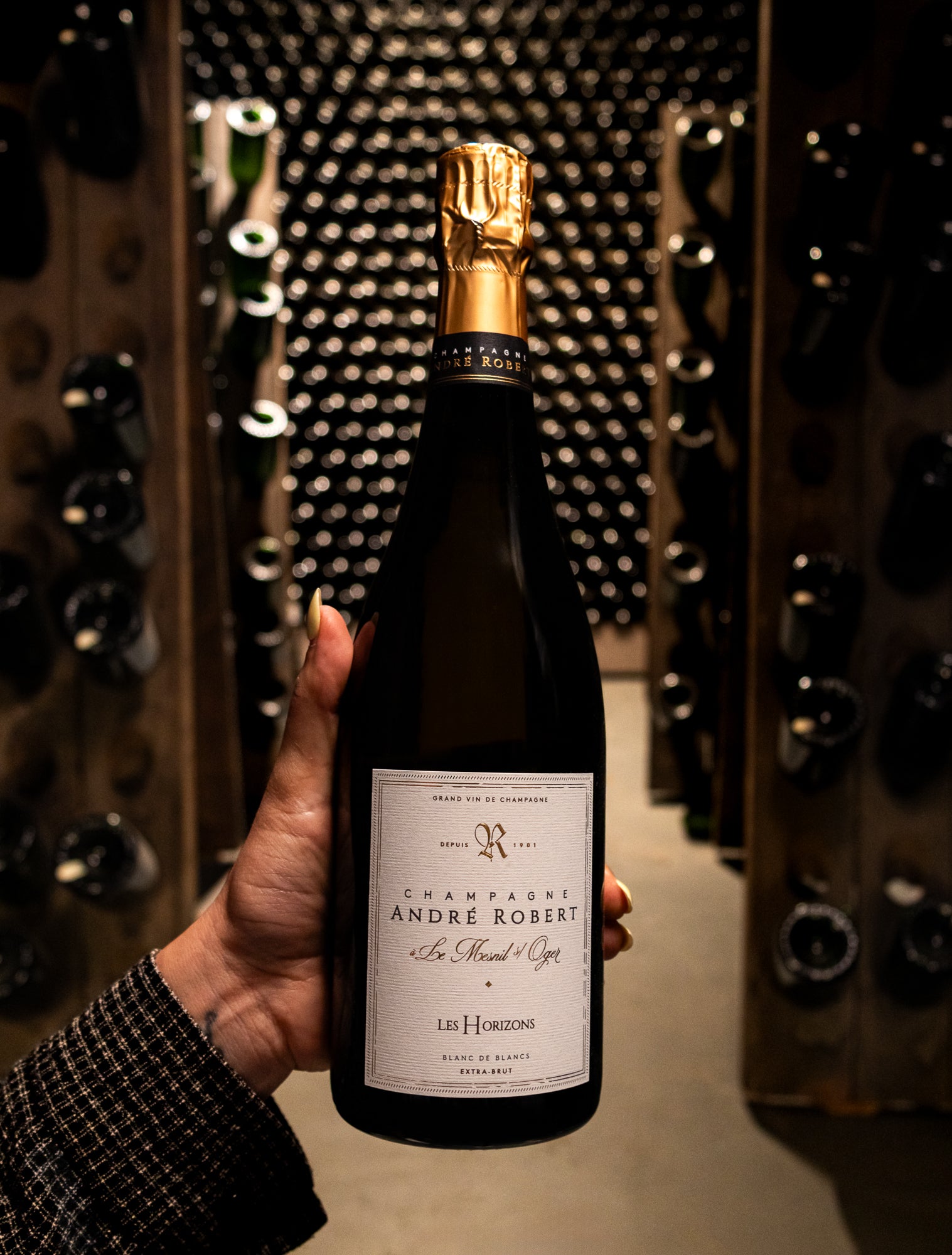 Champagne André Robert Blanc de Blancs Les Horizons Extra Brut NV