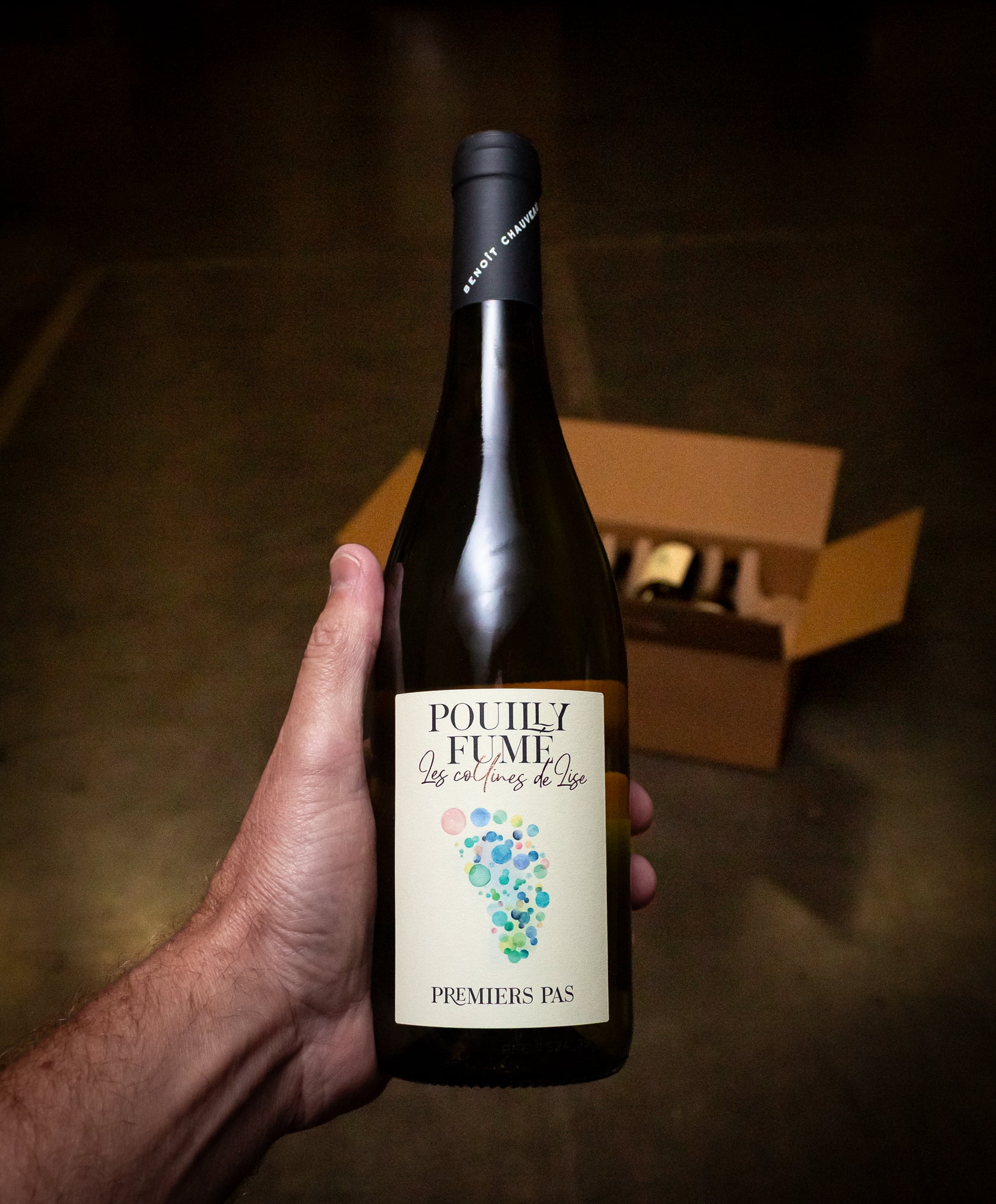 Benoit Chauveau Premiers Pas Pouilly Fumé 2024