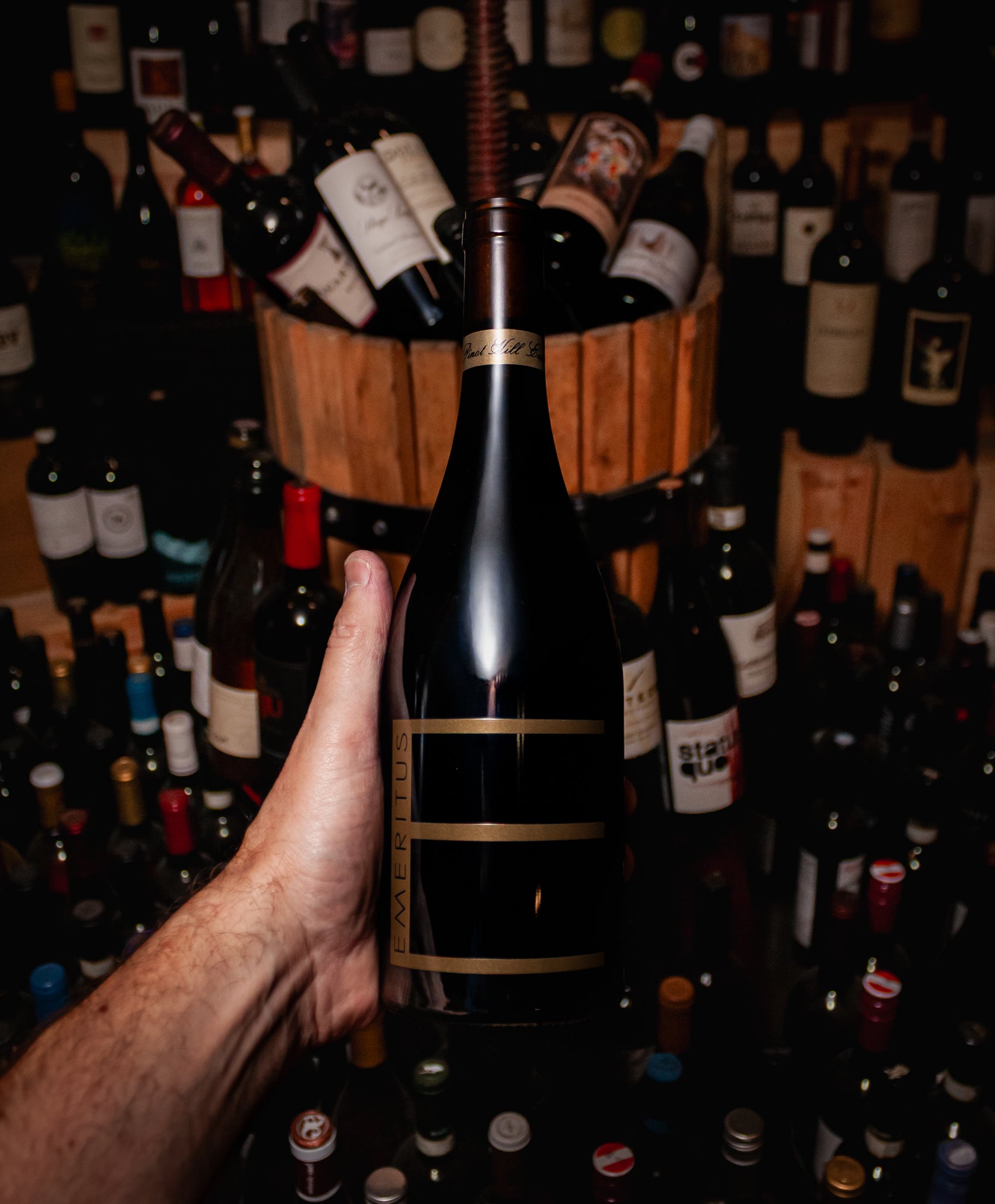 Emeritus Vineyards Pinot Noir Pinot Hill Vineyard East Sonoma Coast 2021