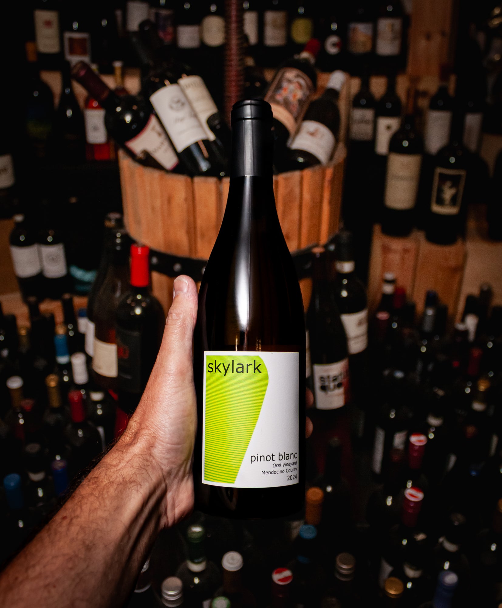 Skylark Pinot Blanc Orsi Vineyard Mendocino County 2024