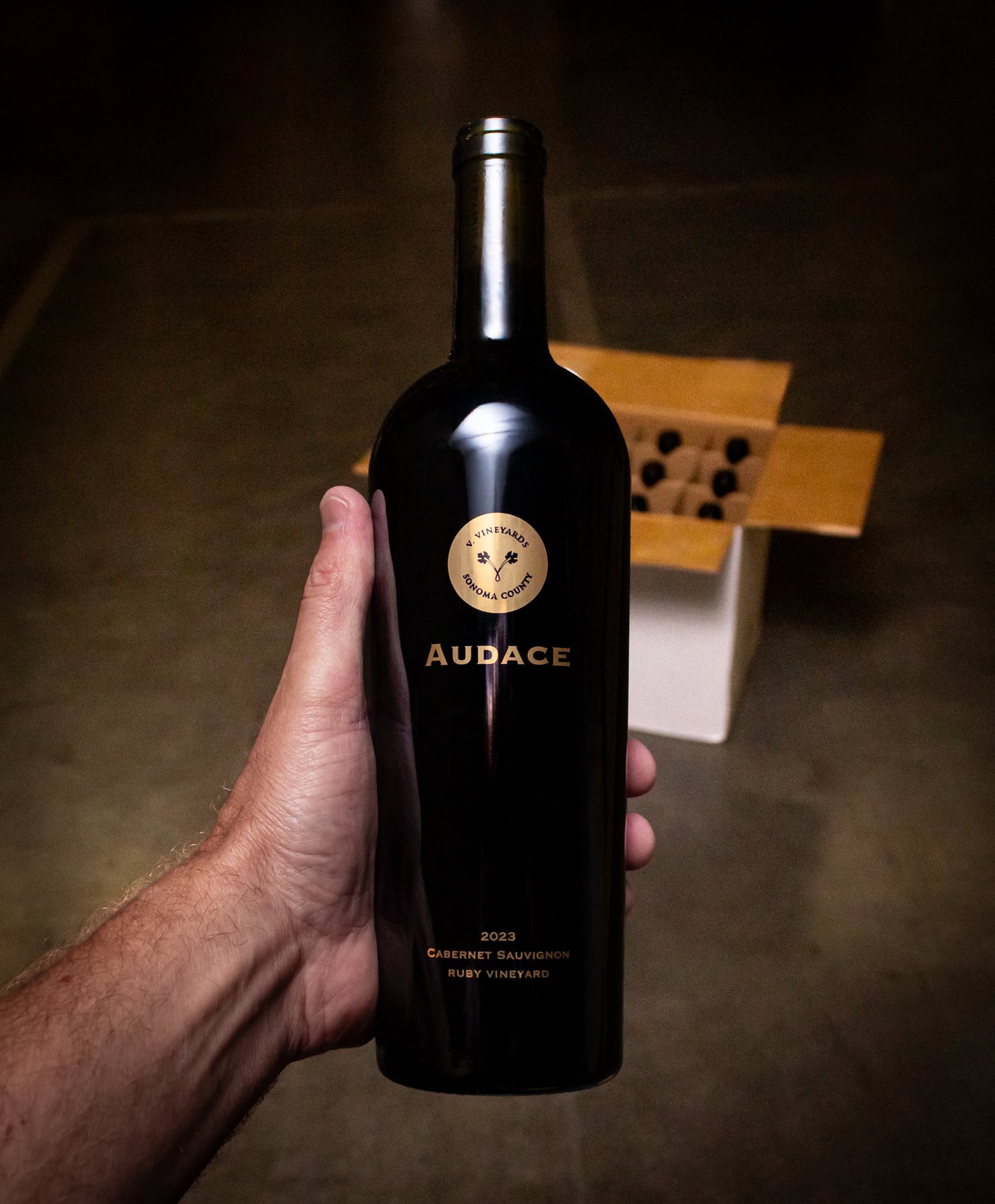 V. Vineyards Cabernet Sauvignon Audace Ruby Vineyard Sonoma County 2023