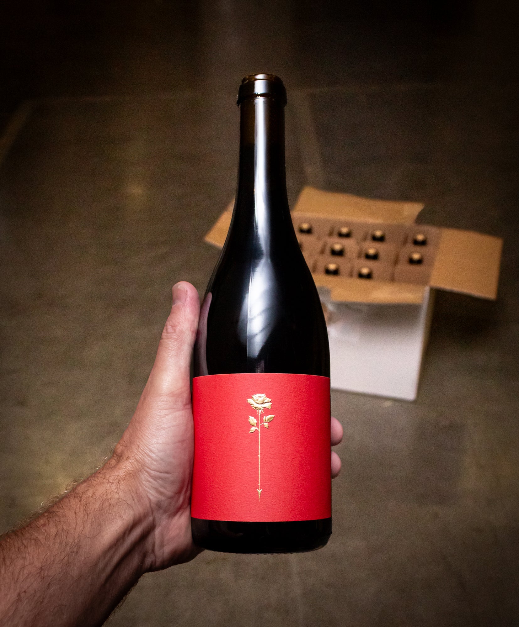 Rose & Arrow Pinot Noir Red Label Willamette Valley 2024
