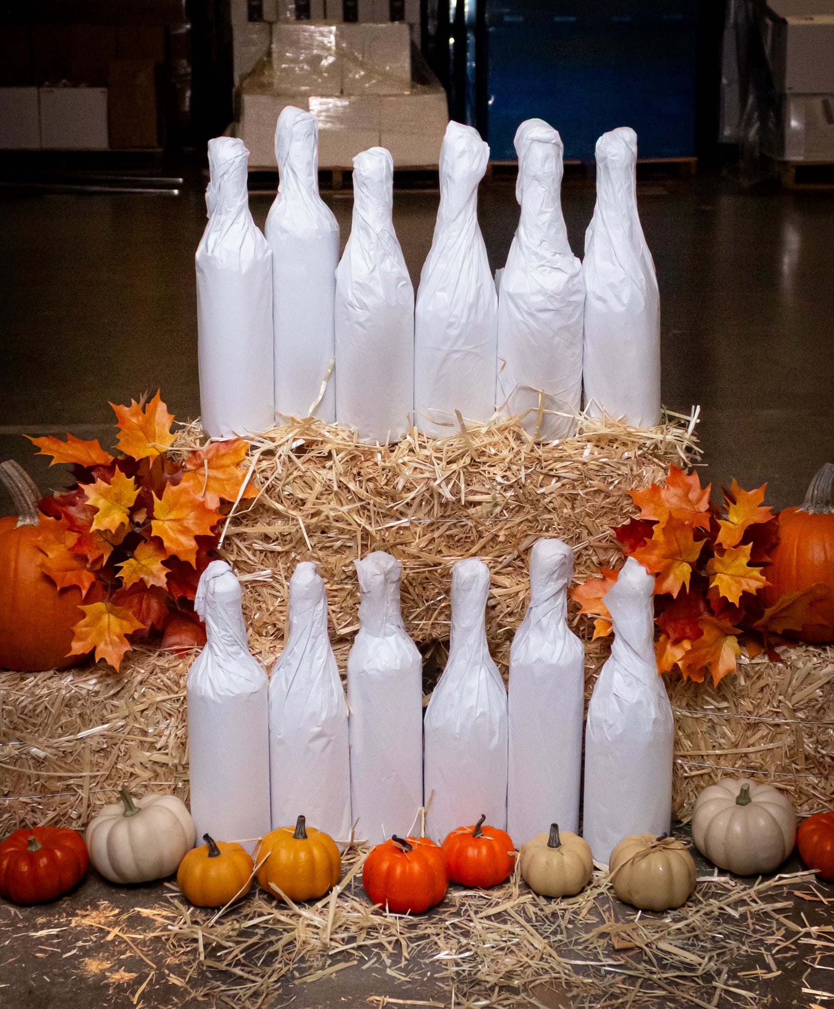 Harvest 12-Bottle Mystery Case