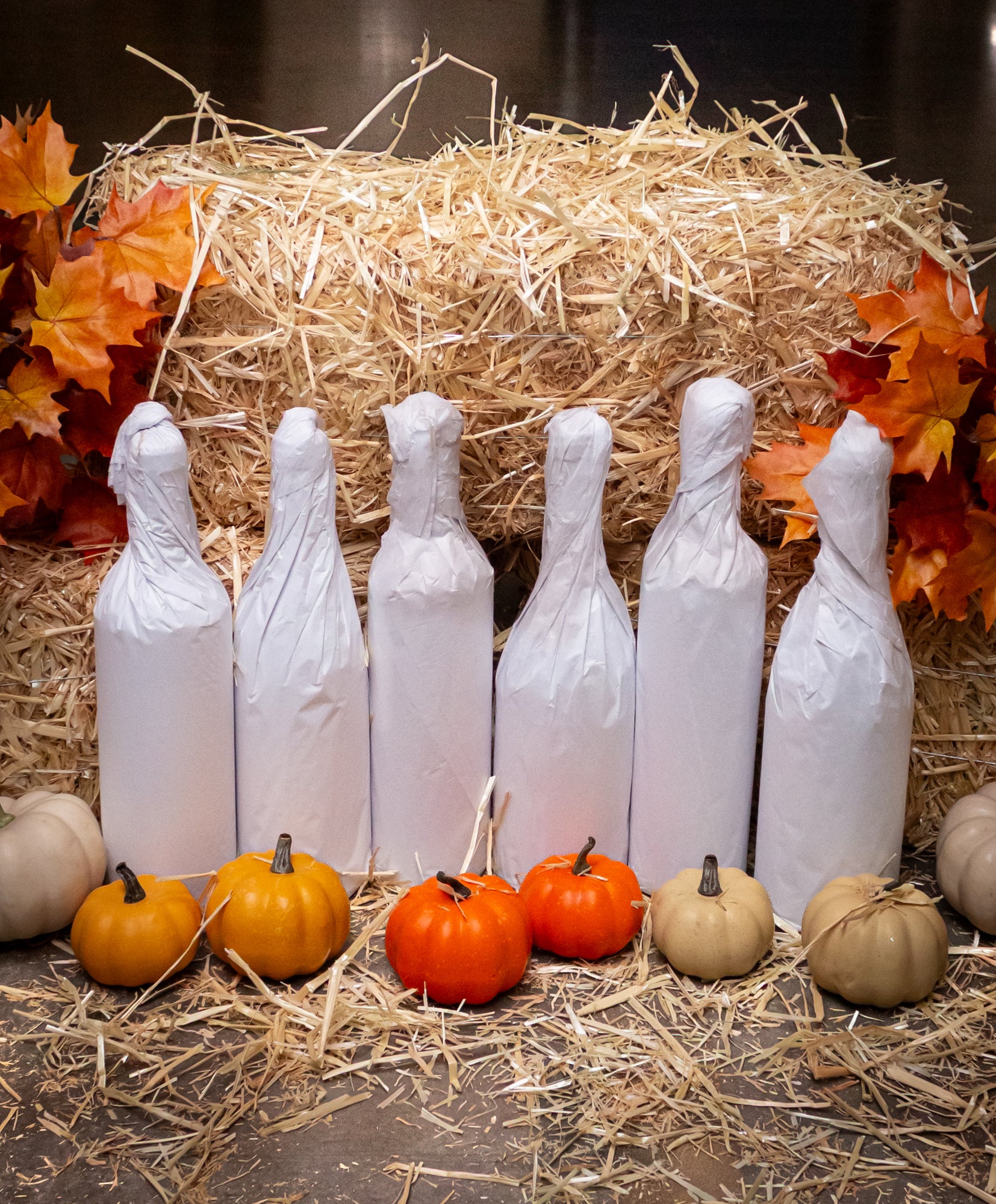 Harvest 6-Bottle Mystery Case
